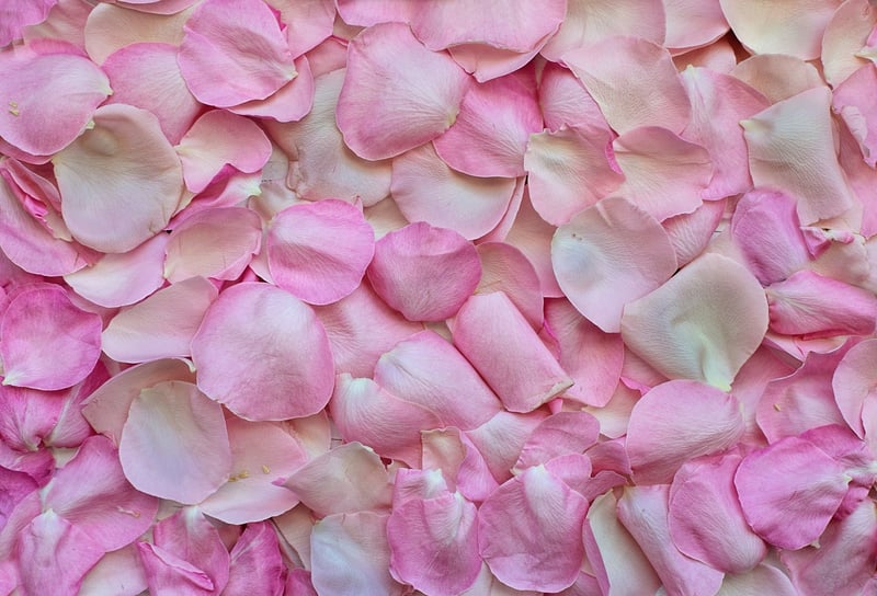 Botanical Patterns