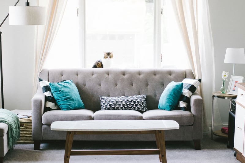 Nature-Inspired Living Room